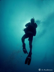 Final shots during ascent. This photo was taken in Roatan... by Steven Anderson 